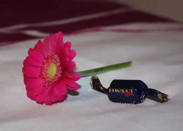 Simone Апартаменты Лёррах